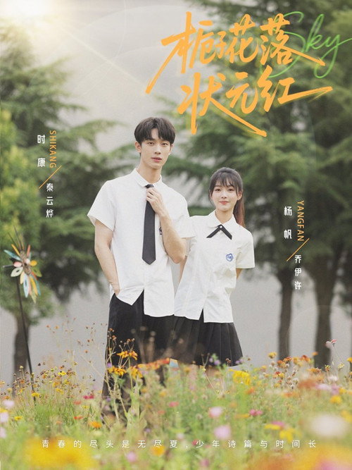 栀子花落状元红 封面