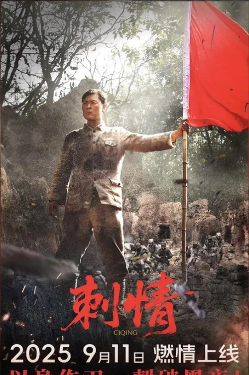 刺情 封面