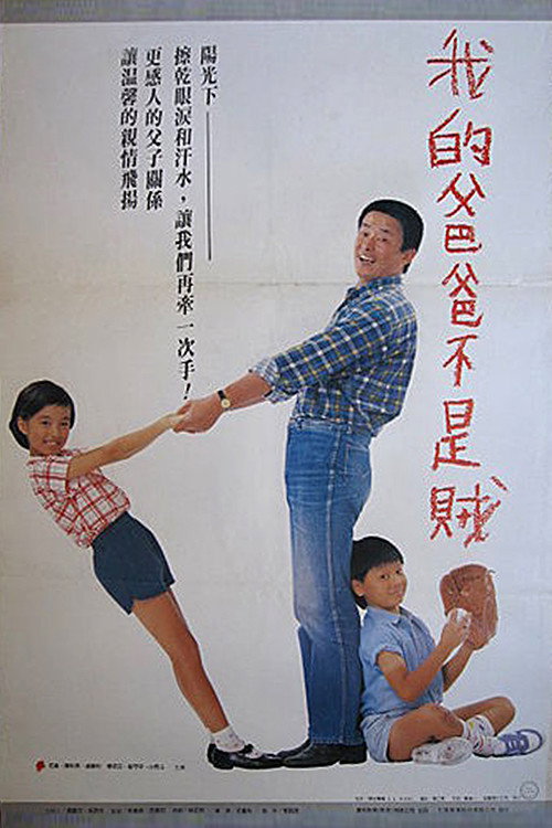 我的爸爸不是賊 封面