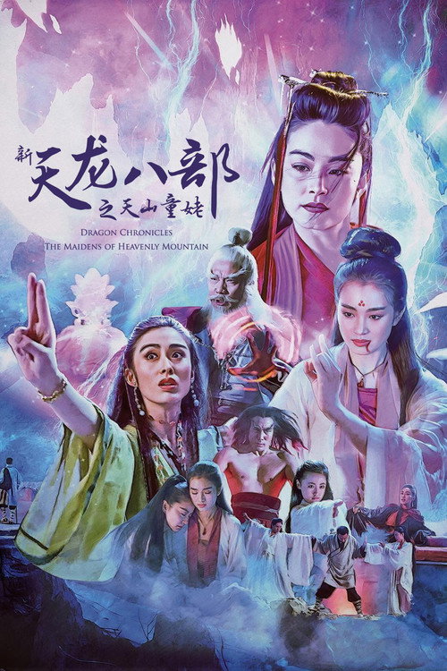 新天龙八部之天山童姥 封面