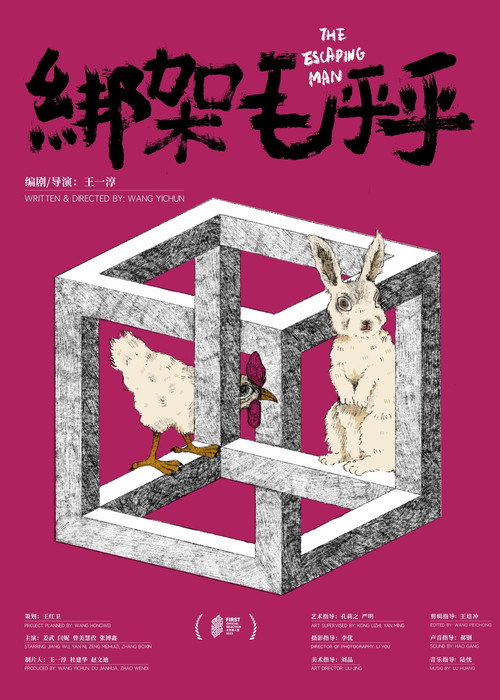 绑架毛乎乎 封面
