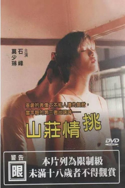 山庄情挑 封面