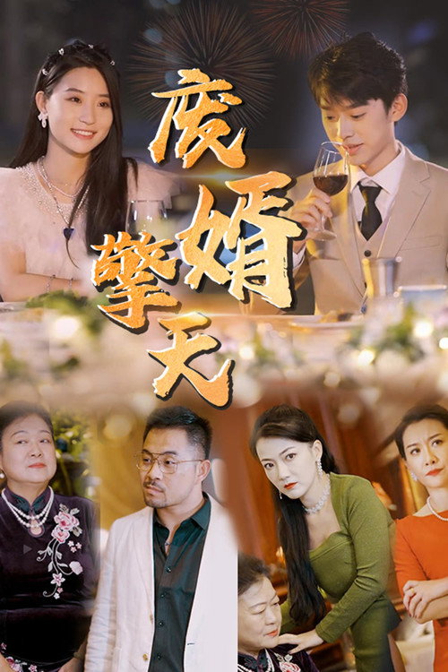 废婿擎天 封面