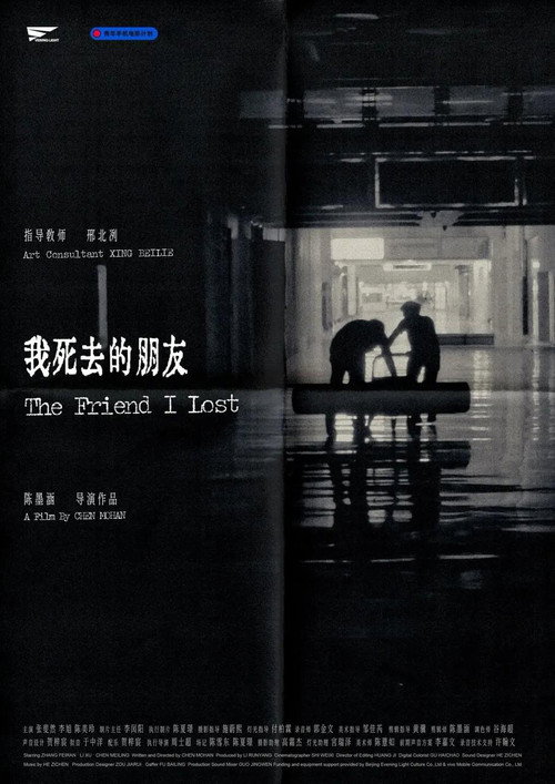 我死去的朋友 封面