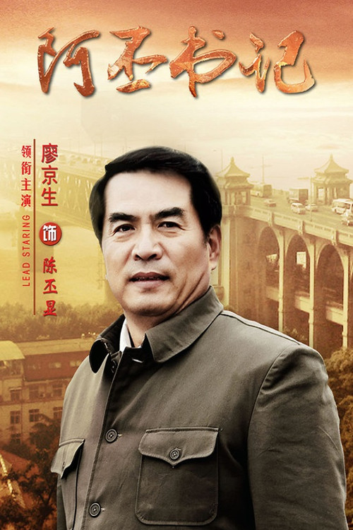 阿丕书记 封面