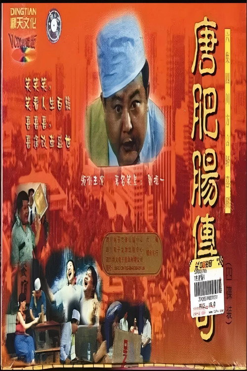 唐肥肠传奇 封面