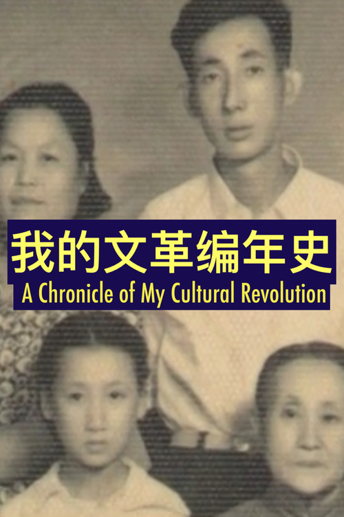 我的文革编年史 封面