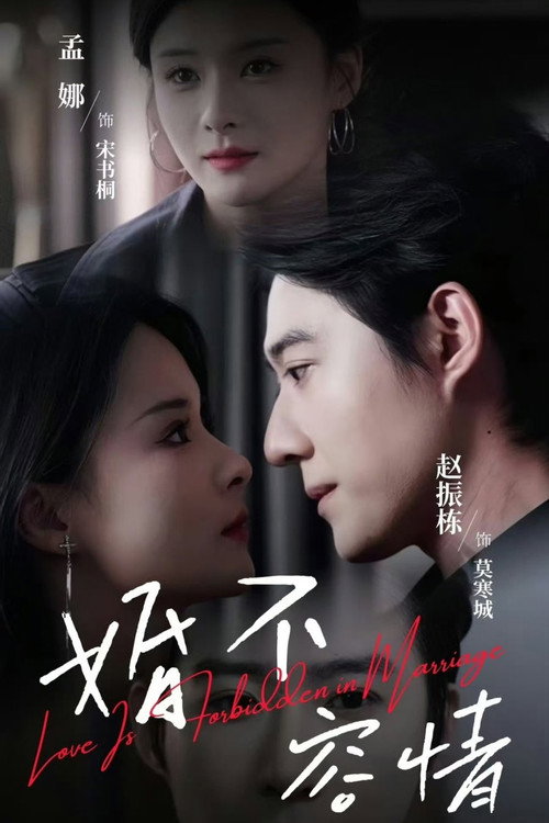 婚不容情 封面