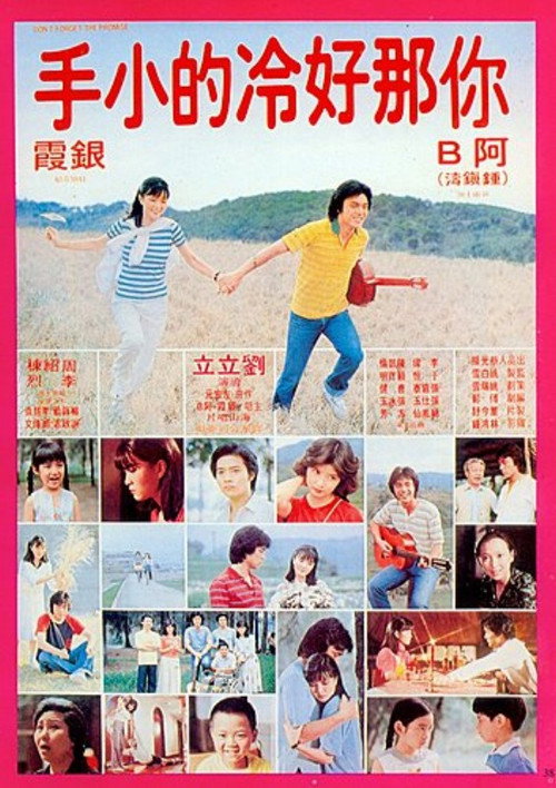 Don't Forget the Promise 封面