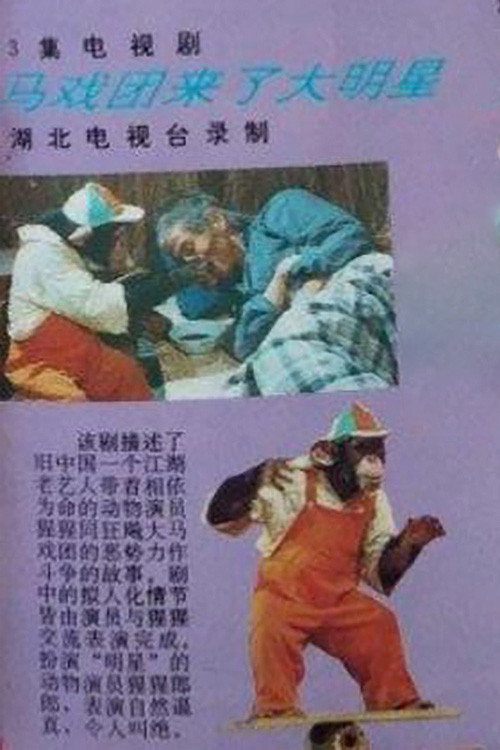 马戏团来了大明星 封面