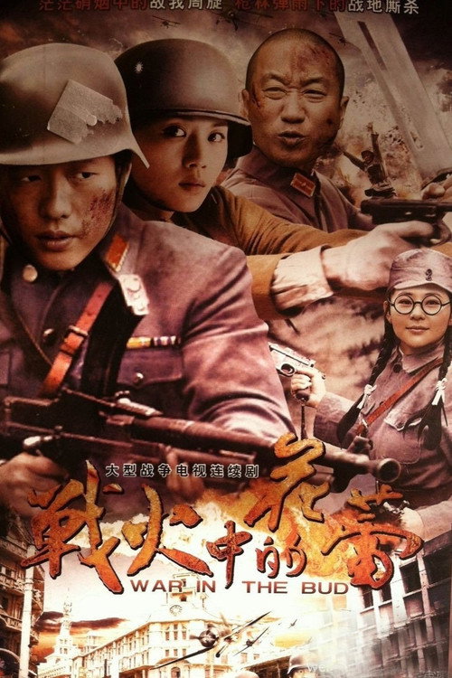 战火中的花蕾 封面