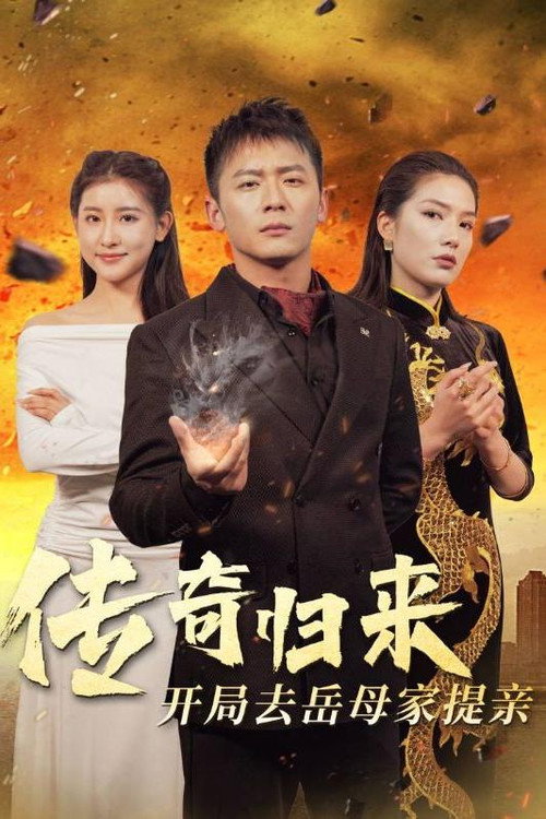 传奇归来开局去岳母家提亲 封面