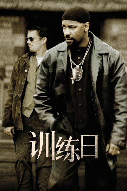 训练日 封面