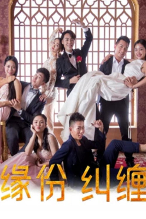 缘份纠缠 封面