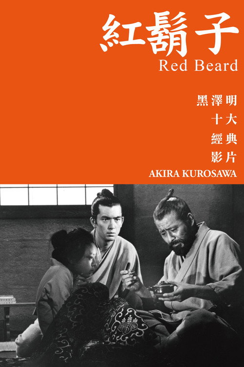 红胡子 封面