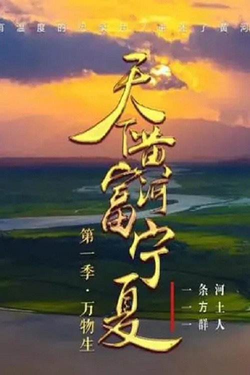天下黄河富宁夏 封面