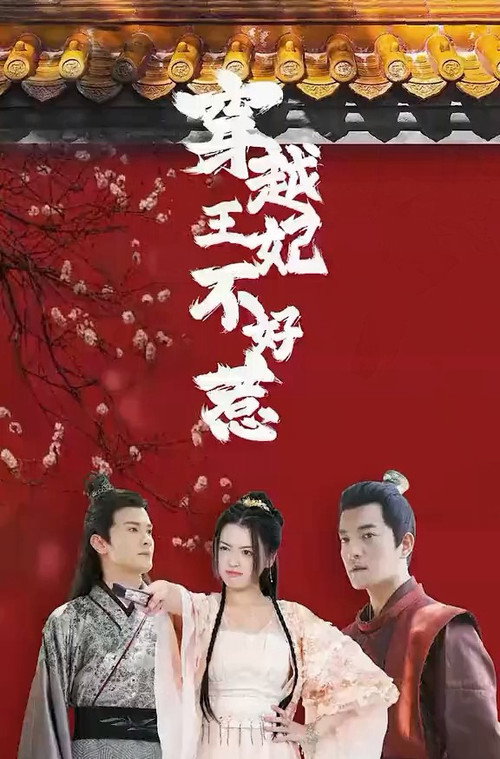 穿越王妃不好惹 封面