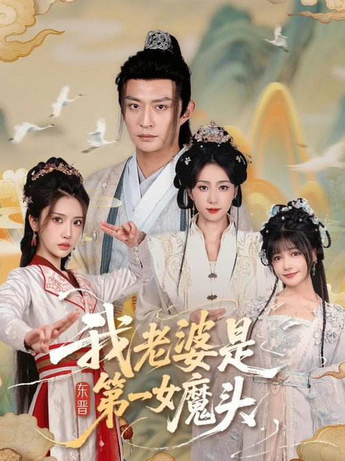 我老婆是东晋第一女魔头 封面