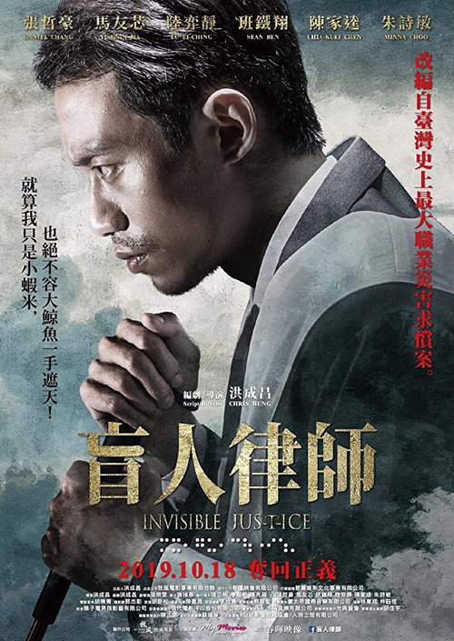 盲人律师 封面