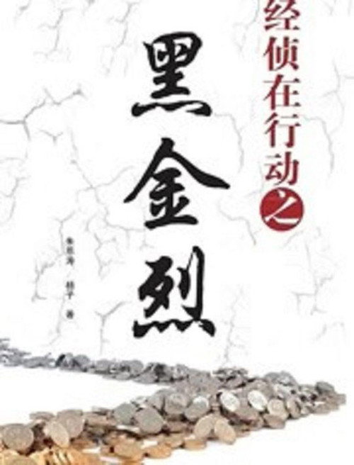 经侦在行动之黑金烈 封面