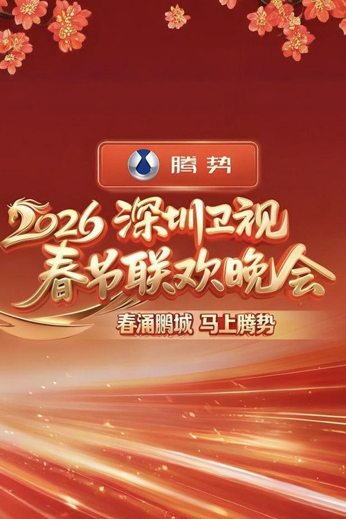 深圳卫视春节联欢晚会 封面