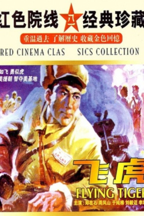 飞虎 封面