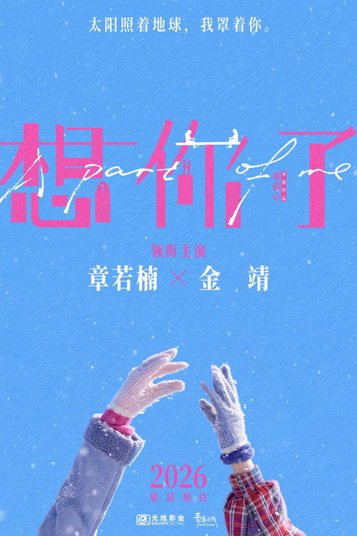 想你了 封面
