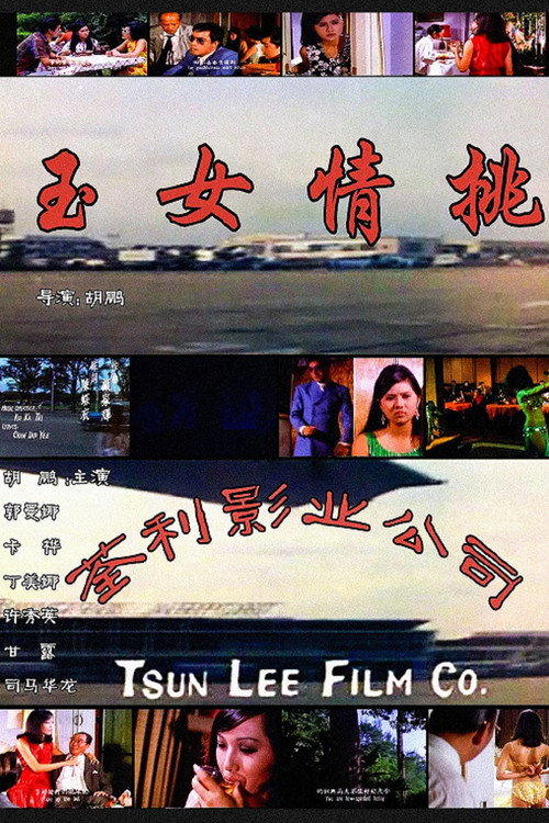 玉女情挑 封面