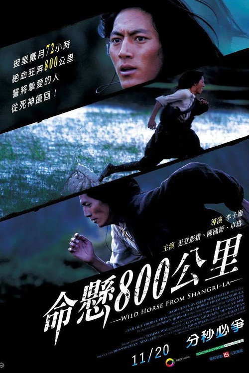 命悬800公里 封面