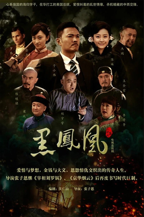 黑凤凰 封面