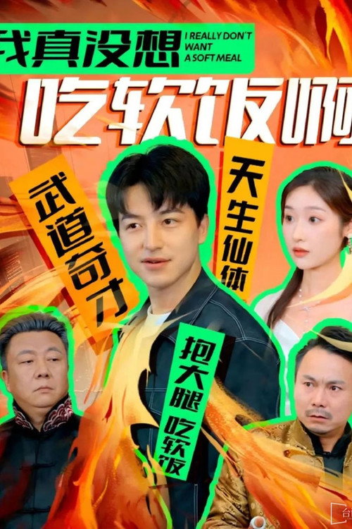 我真没想吃软饭啊 封面