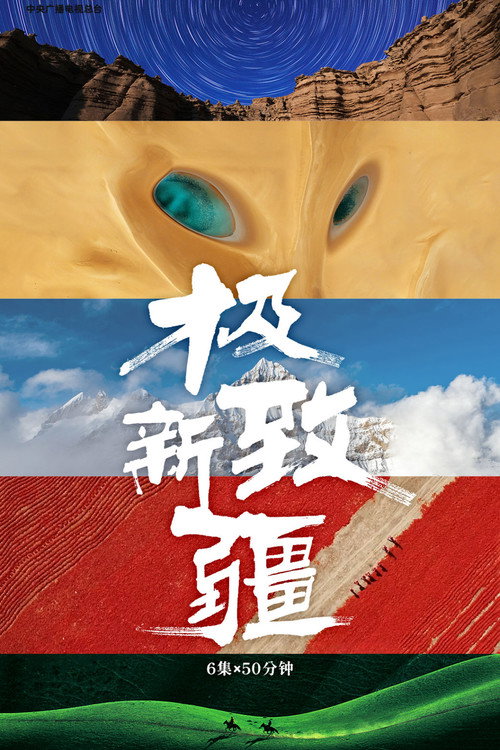 极致新疆 封面