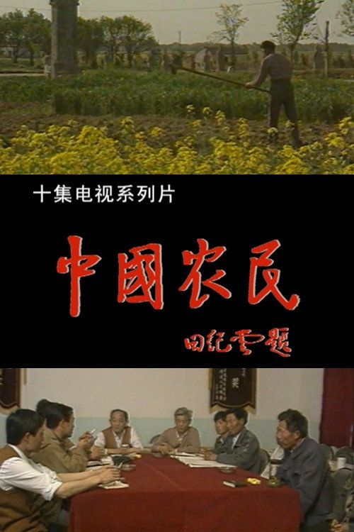 中国农民 封面