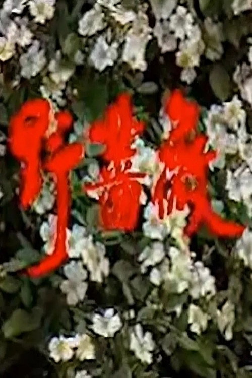 野蔷薇 封面