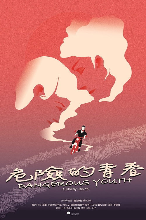 危险的青春 封面
