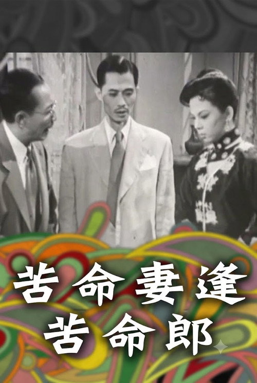 苦命妻逢苦命郎 封面