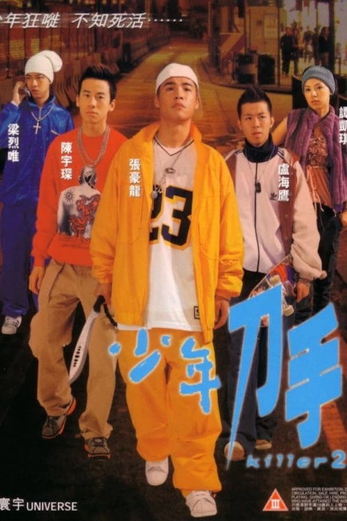 少年刀手 封面