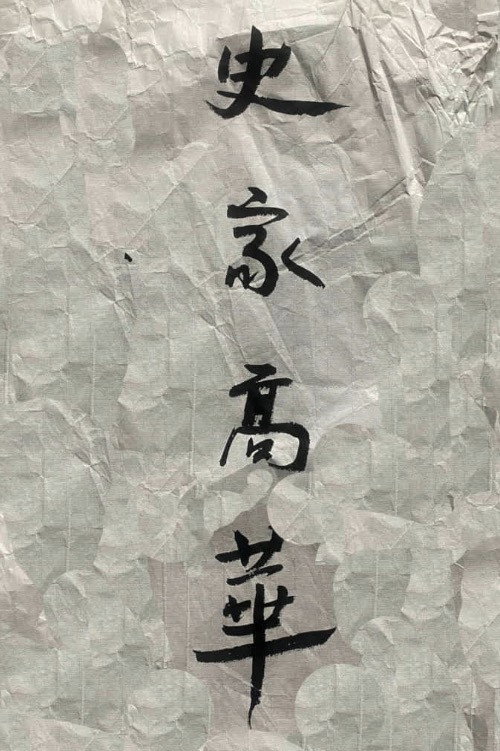 史家高华 封面