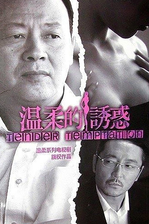 温柔的诱惑 封面