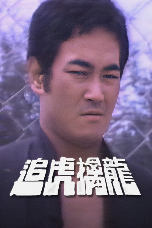 追虎擒龙 封面