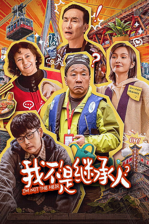 我不是继承人 封面
