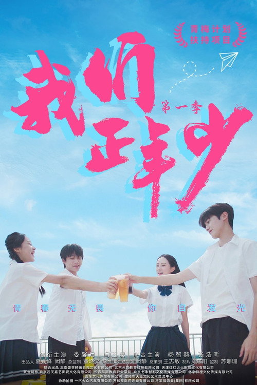我们正年少 封面