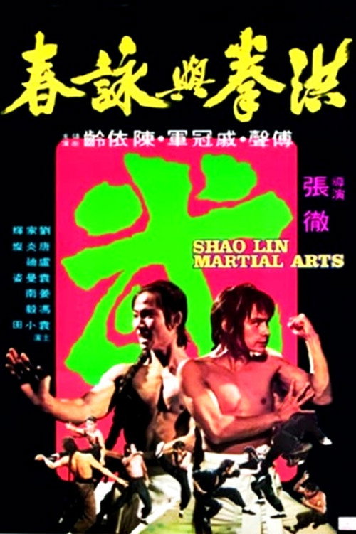 洪拳与咏春 封面