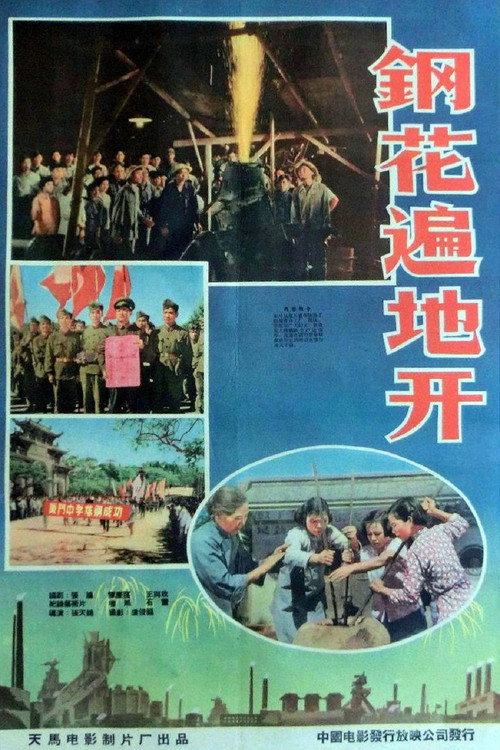 钢花遍地开 封面