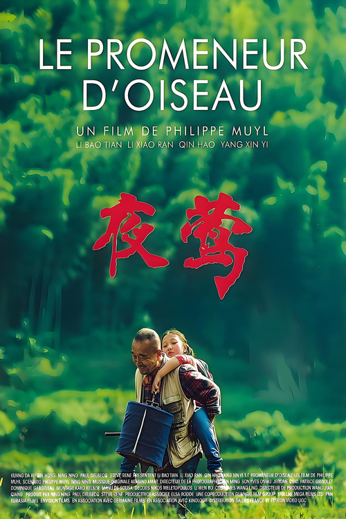 夜莺 封面