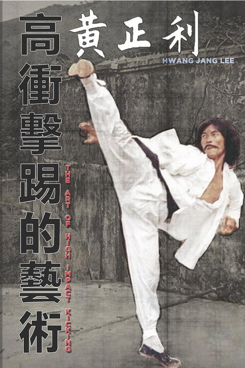 高衝擊的藝術 封面