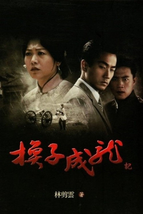 换子成龙 封面