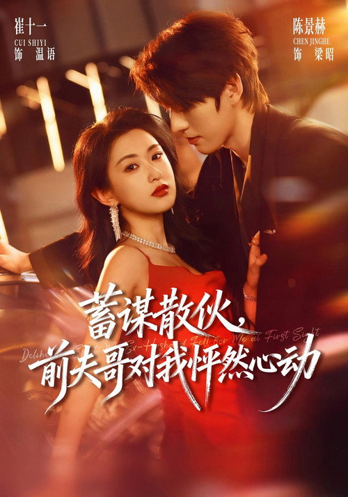 蓄谋散伙,前夫哥对我怦然心动 封面