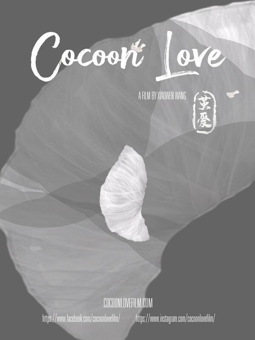 Cocoon Love 封面