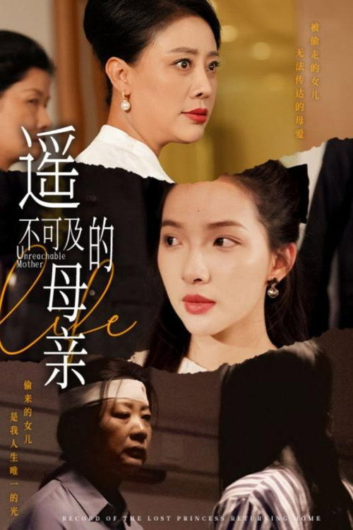 遥不可及的母亲 封面